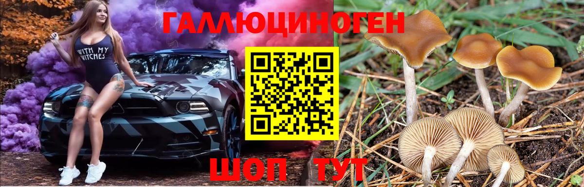 Галлюциногенные грибы мицелий  Вход с VPN  купить закладку  Ликино-Дулёво 